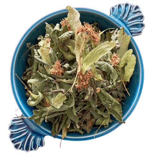 Lendemain de Fêtes - Image 1